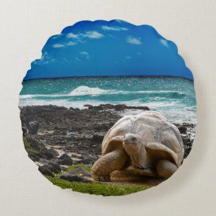 Coussins Ronds Grande tortue au bord de mer