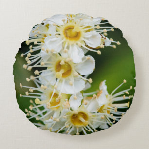 Coussins Ronds Gros plan de petites fleurs