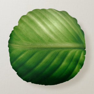 Coussins Ronds Gros plan des feuilles vertes