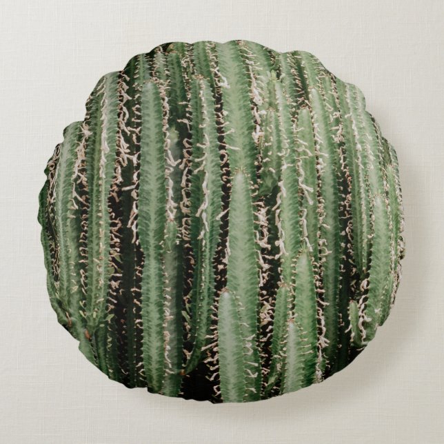 Coussins Ronds Gros plan du plante de cactus vert (Devant)
