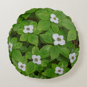 Coussins Ronds Gros plan sur le cornouiller à fleurs blanches