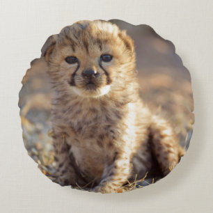 Coussins Ronds Guépard 19 jours petit mâle