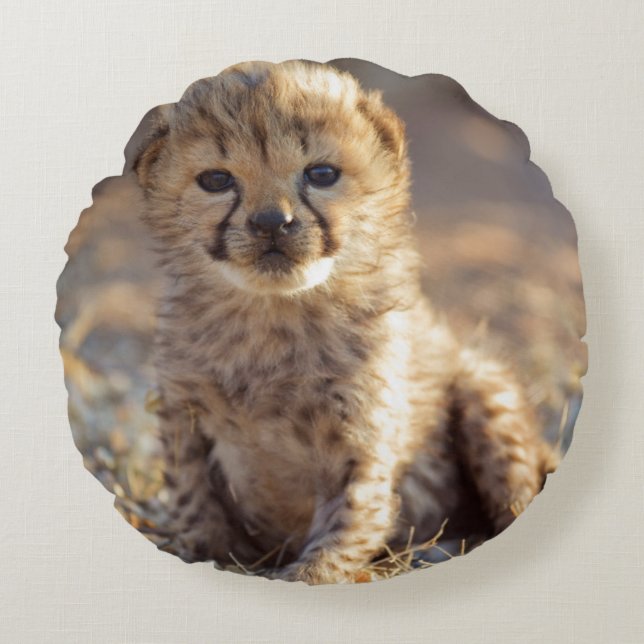 Coussins Ronds Guépard 19 jours petit mâle (Devant)