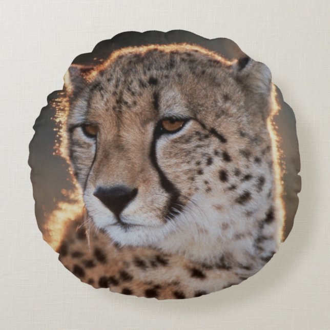 Coussins Ronds Guépard regard détourné (Devant)