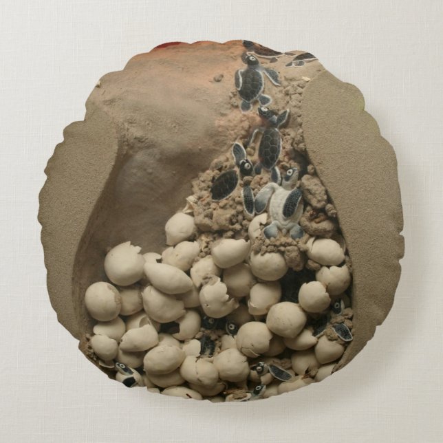 Coussins Ronds Hachure d'oeufs de tortue de bébé (Devant)
