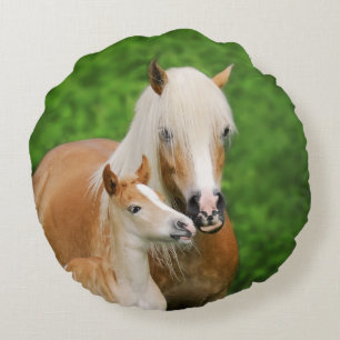Coussins Ronds Haflinger Horses mignonette Foie Baiser maman Phot