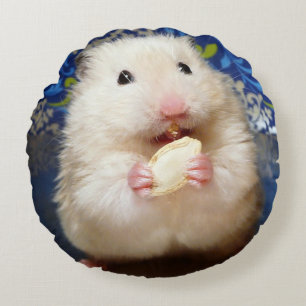 Coussins Ronds Hamster syrien pelucheux Kokolinka mangeant une