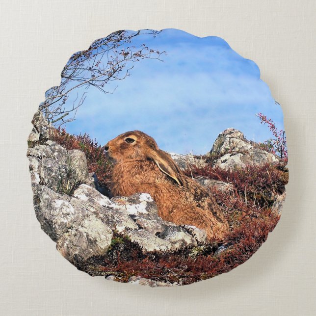 COUSSINS RONDS HARE (Devant)