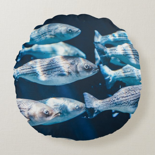 COUSSINS RONDS HERBE DE POISSON (Devant)