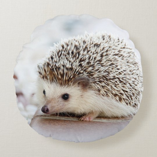 Coussins Ronds Herisson Mignon De Bebe Zazzle Fr Coussins Ronds Herisson Mignon De Bebe Zazzle Fr