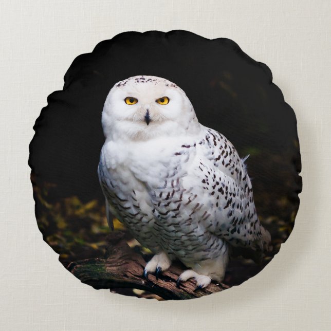 Coussins Ronds Hibou des neiges majestueux en hiver (Devant)