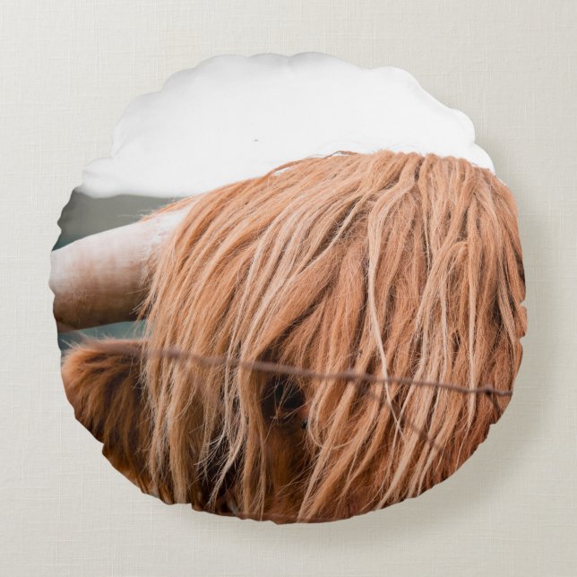 COUSSINS RONDS HIGHLAND KING (Devant)