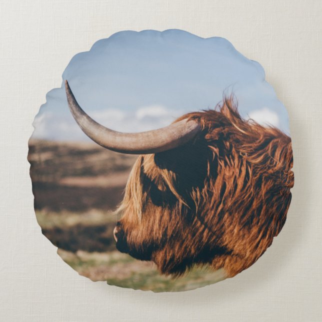 COUSSINS RONDS HIGHLAND VW (Devant)