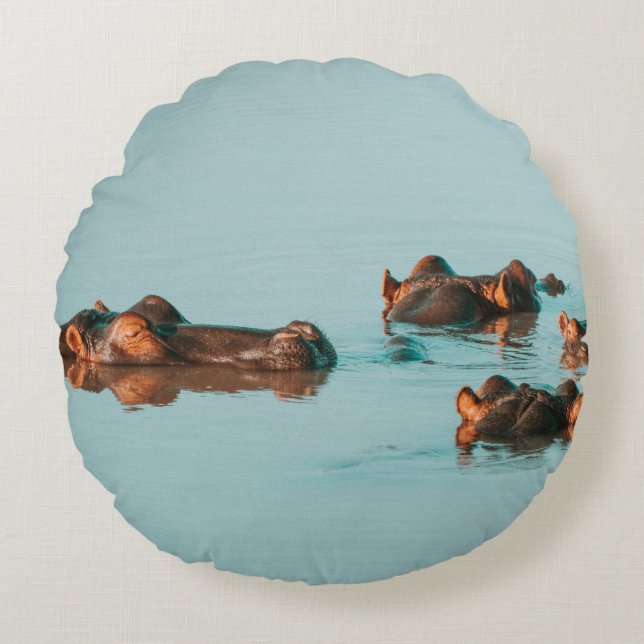 COUSSINS RONDS HIPPOS REFROIDISSANT DANS LE BARRAGE (Devant)