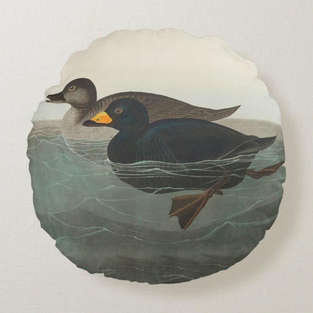 Coussins Ronds Impression de Macreuse noire d'Audubon : Canard cô (Devant)