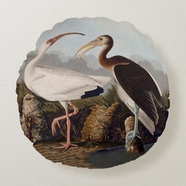 Coussins Ronds Impression d'oiseau Ibis blanc de John James Audub (Devant)