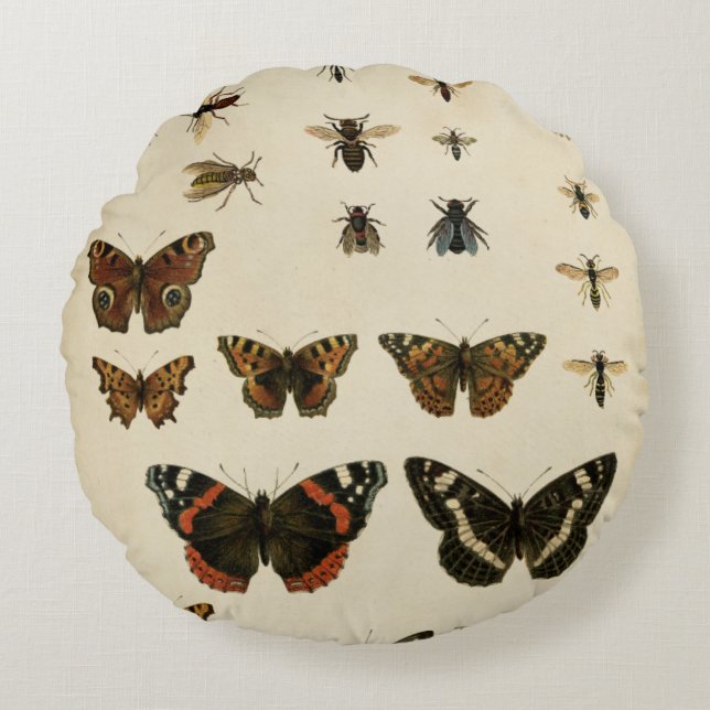 Coussins Ronds Insectes de jardin par Vision Studio (Devant)