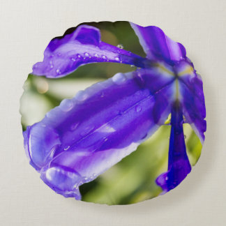 Coussins Ronds Iris pourpre avec des gouttes de pluie