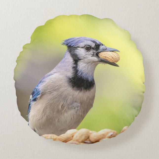 Coussins Ronds Jay bleu avec arachide (Devant)