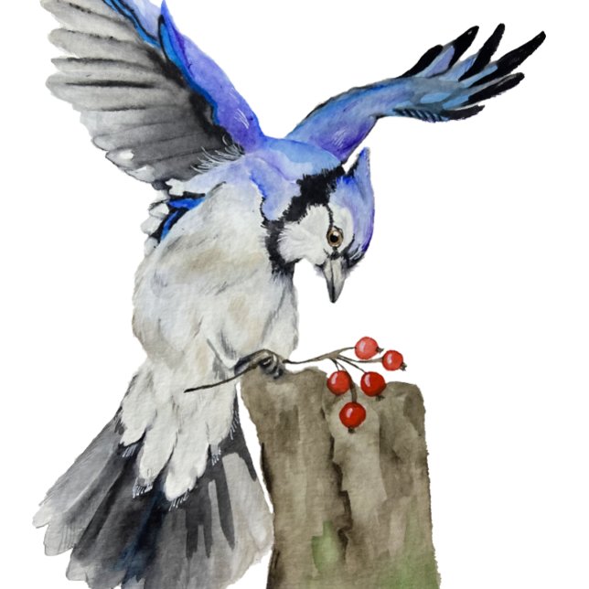Coussins Ronds Jay bleu d'oiseau de la forêt (Créateur téléchargé)