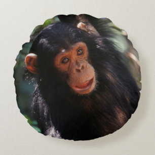 Coussins Ronds Jeune Chimpanzé
