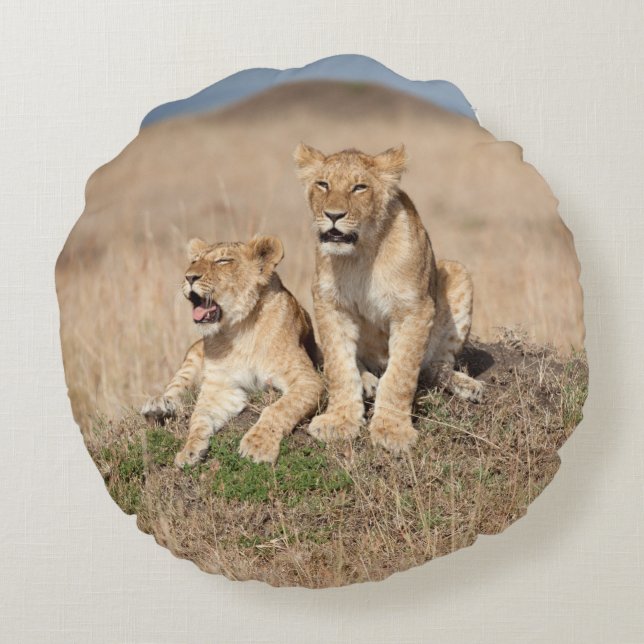 Coussins Ronds Jeunes lions (Dos)