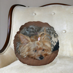 Coussins Ronds Joli Yorkshire Sleepy Terrier Yorkie Puppy