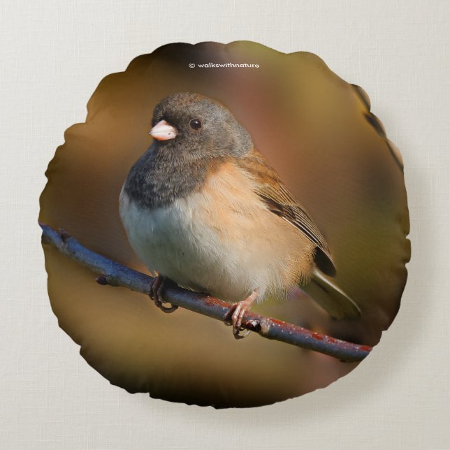 Coussins Ronds Junco à l'oeil foncé sur un membre (Devant)