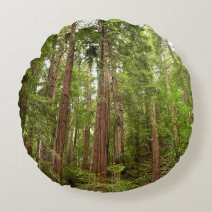 Coussins Ronds Jusqu'à Redwoods I au monument national de Muir Wo