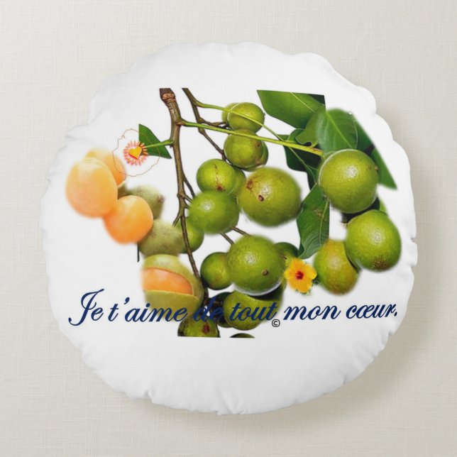 Coussins Ronds La quenette  (Devant)