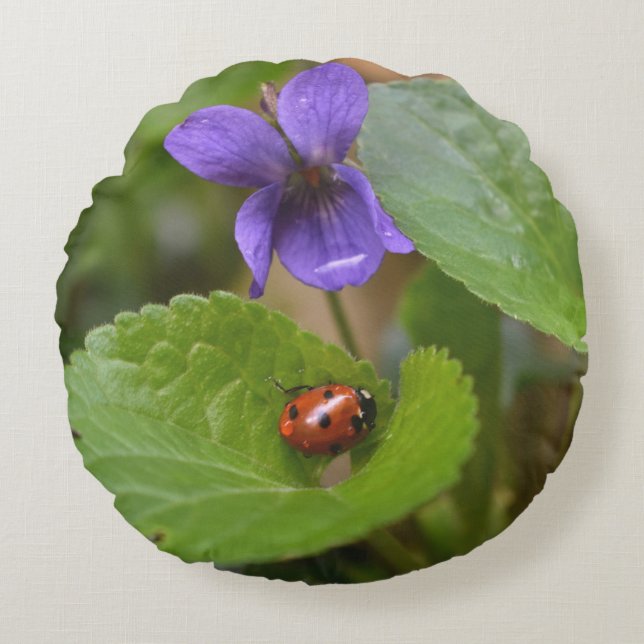 Coussins Ronds Ladybug sur les fleurs de violet doux (Devant)