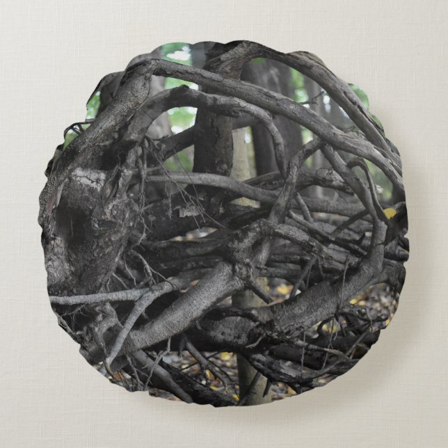 Coussins Ronds L'amour d'un arbre tombé (Devant)