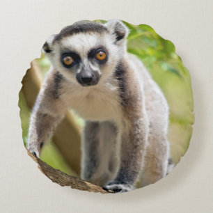 Coussins Ronds Lemur de bébé