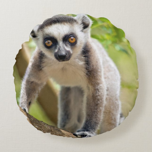 Coussins Ronds Lemur de bébé (Devant)