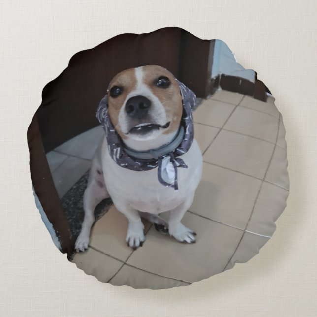 Coussins Ronds Léo le jack russell doux et amical (Dos)