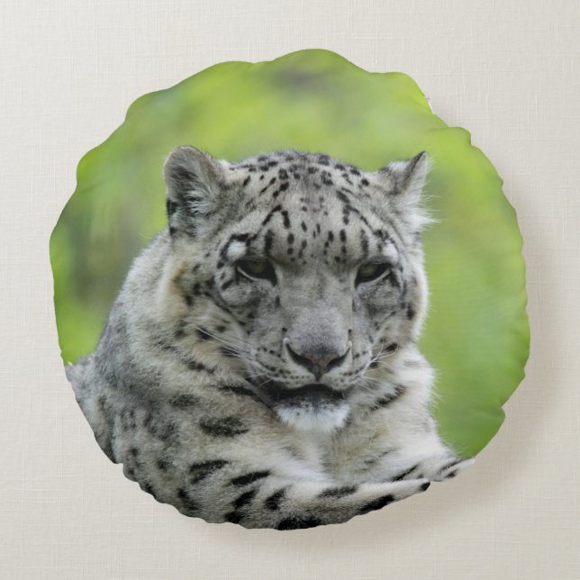 Coussins Ronds Leopard_2015_0310 (Dos)