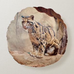 Coussins Ronds léopard nébuleux image nature faune exotique