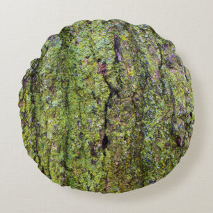 Coussins Ronds Lichen vert sur l'écorce d'arbre Nature