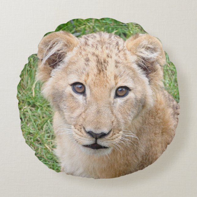 Coussins Ronds Lion (Devant)