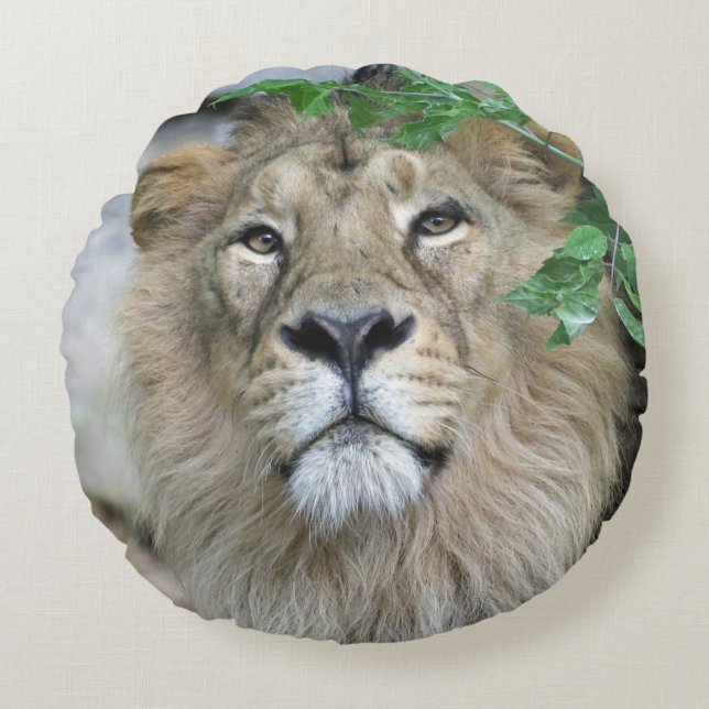 Coussins Ronds Lion 002 (Devant)