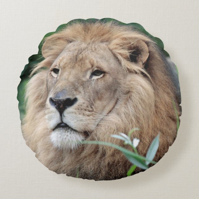 Coussins Ronds Lion 021 (Devant)
