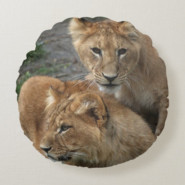 Coussins Ronds Lion 033 (Devant)