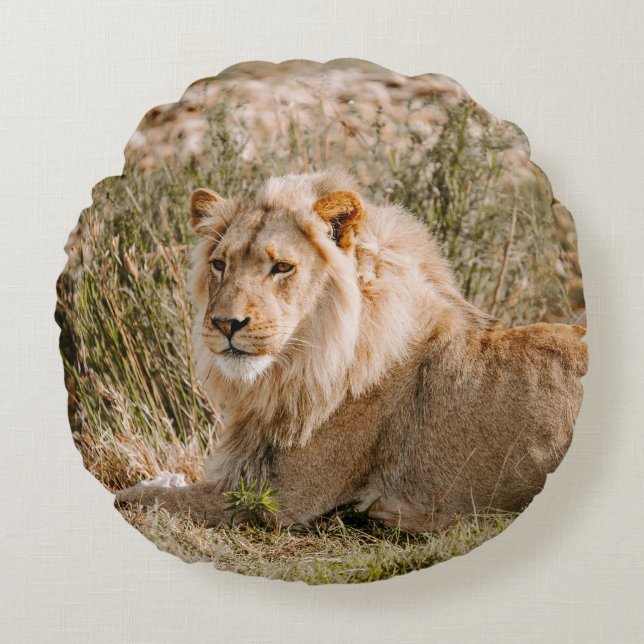 COUSSINS RONDS LION EN GRAS (Devant)