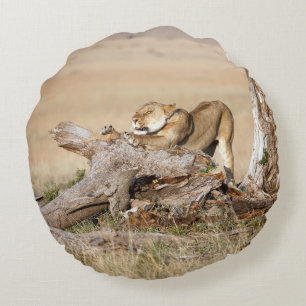 Coussins Ronds Lioness stretching
