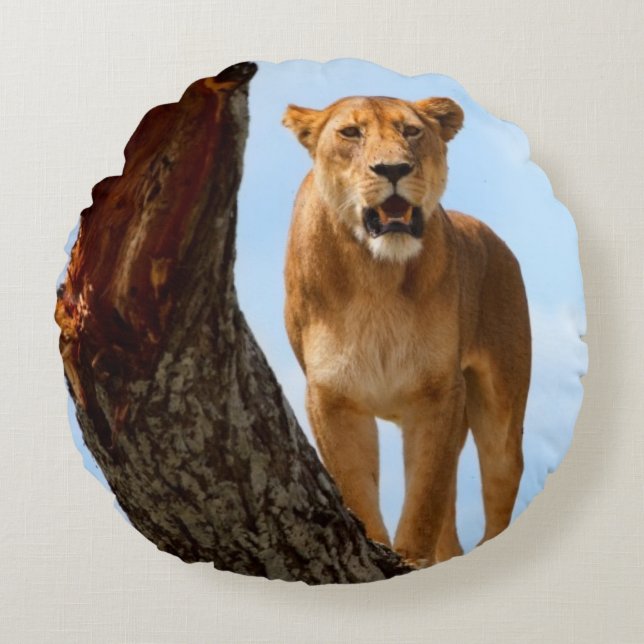 Coussins Ronds Lionne (Devant)
