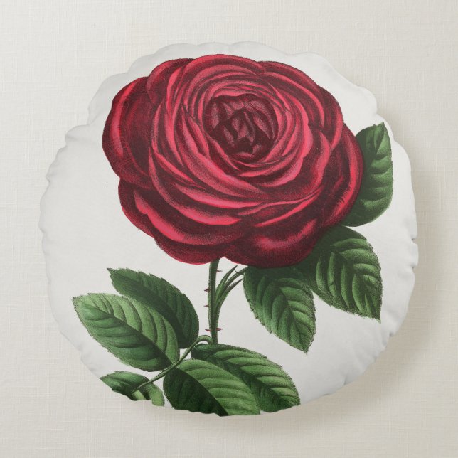 Coussins Ronds Lithographie de rose antique, François-Frédéric Gr (Devant)