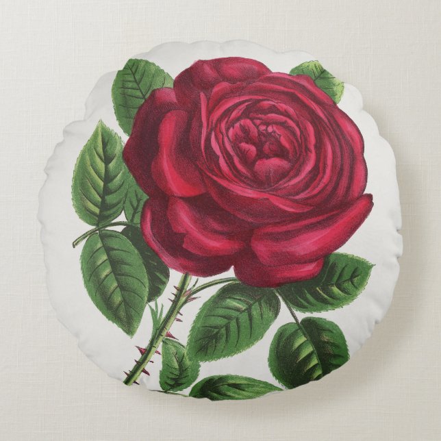 Coussins Ronds Lithographie de rose antique, François-Frédéric Gr (Devant)