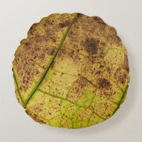 Macro-feuille Jaune et Mort Brown
