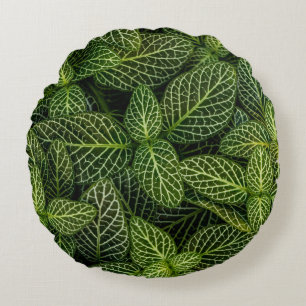 Coussins Ronds Macro photo of green-leafed plants