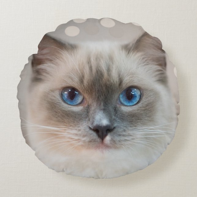 Coussins Ronds Magnifique chat Ragdoll sur beige (Devant)